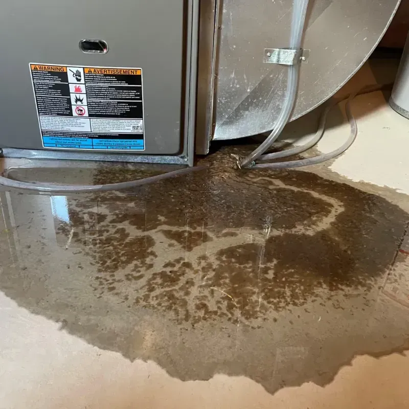 Appliance Leak Cleanup in Crosby, MN